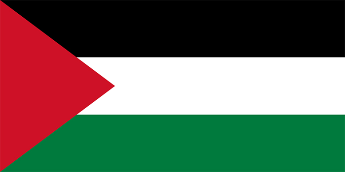 巴勒斯坦国国旗